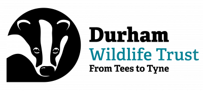 Durham Wildlife Trust logo